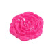 Fushia